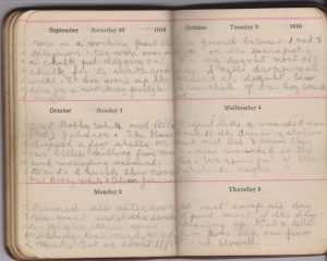 James "Jimmy" Stickels' diary ends 3 days before his death on October 9, 1916.